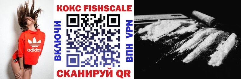 Купить где  Хилок  КОКАИН Fish Scale 