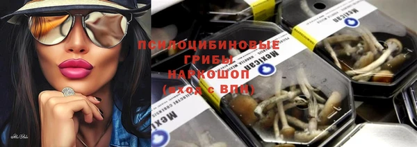 таблы Новодвинск