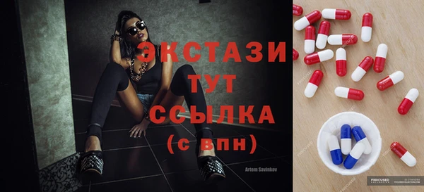 соль ск Новозыбков