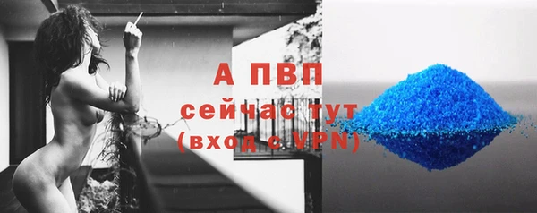соль ск Новозыбков