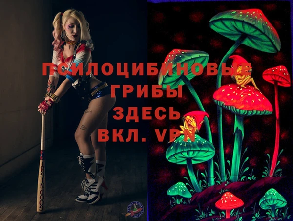 молекула духа Новокубанск