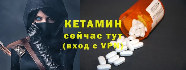 соль ск Новозыбков