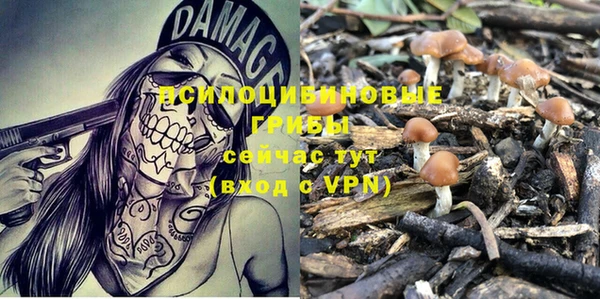 молекула духа Новокубанск