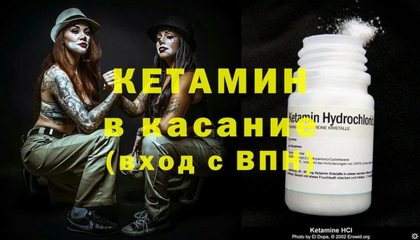 соль ск Новозыбков