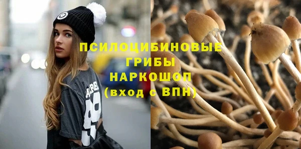 соль ск Новозыбков
