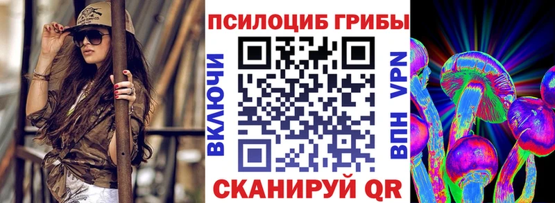 Купить Хилок Галлюциногенные грибы Magic Shrooms